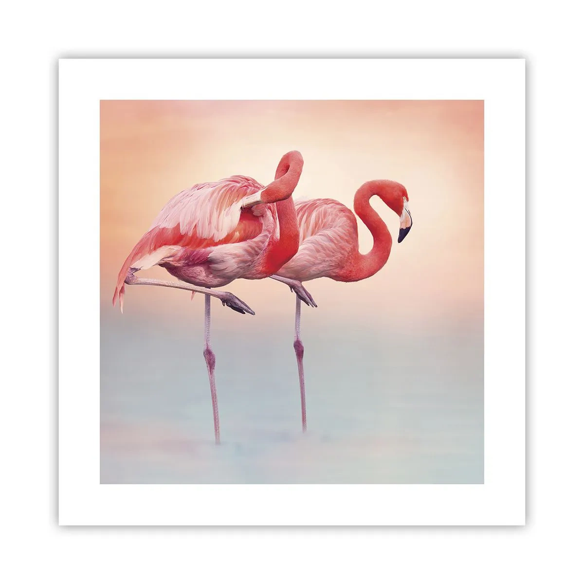 Poster - Die Farbe der untergehenden Sonne - 40x40 cm