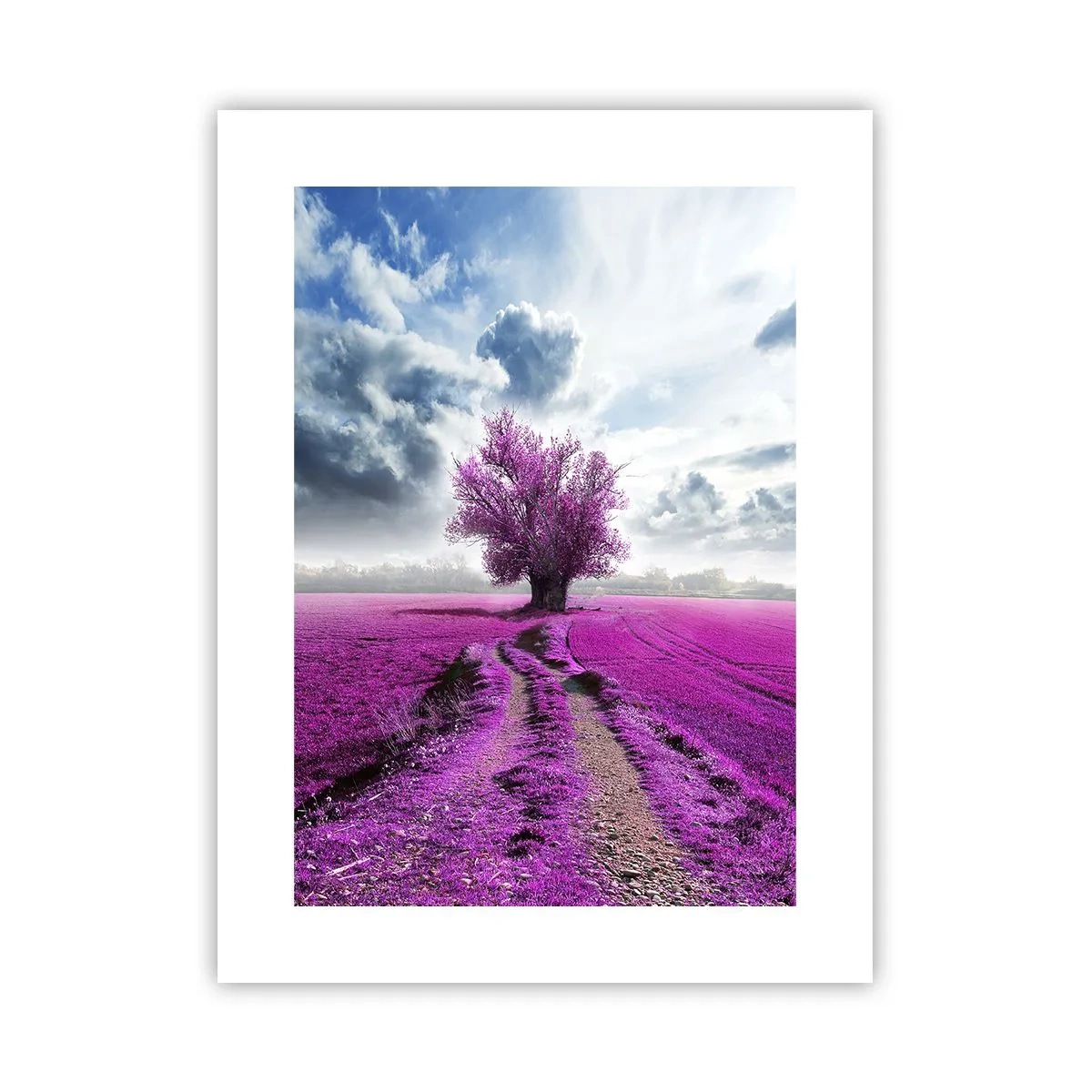 Poster - Heide - Wildnis - 30x40 cm