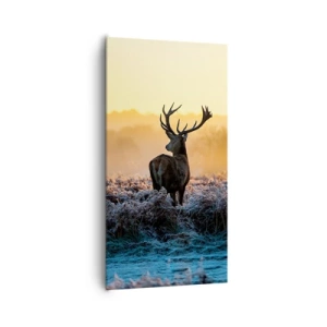 Bild auf Leinwand - Leinwandbild - Gekrönt auf seinem Besitz - 65x120 cm