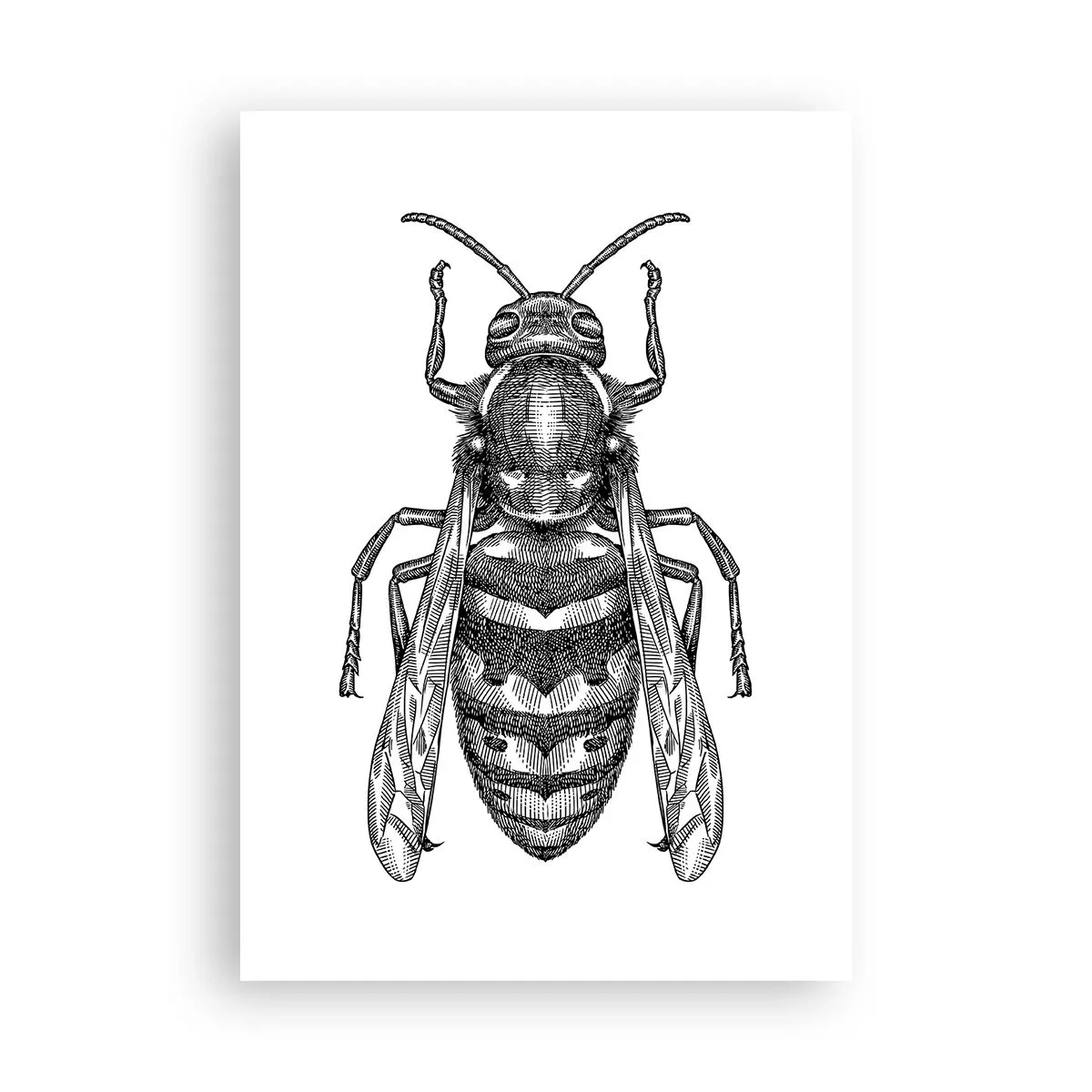 Poster - Von einem Insektenplaneten - 70x100 cm