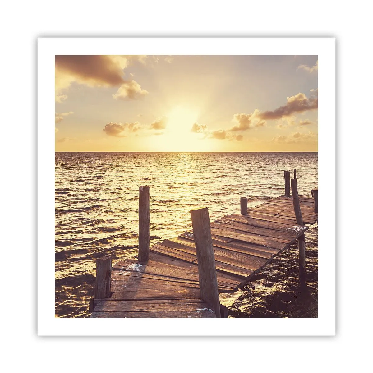 Poster - Das goldene Land der Sanftmut - 60x60 cm