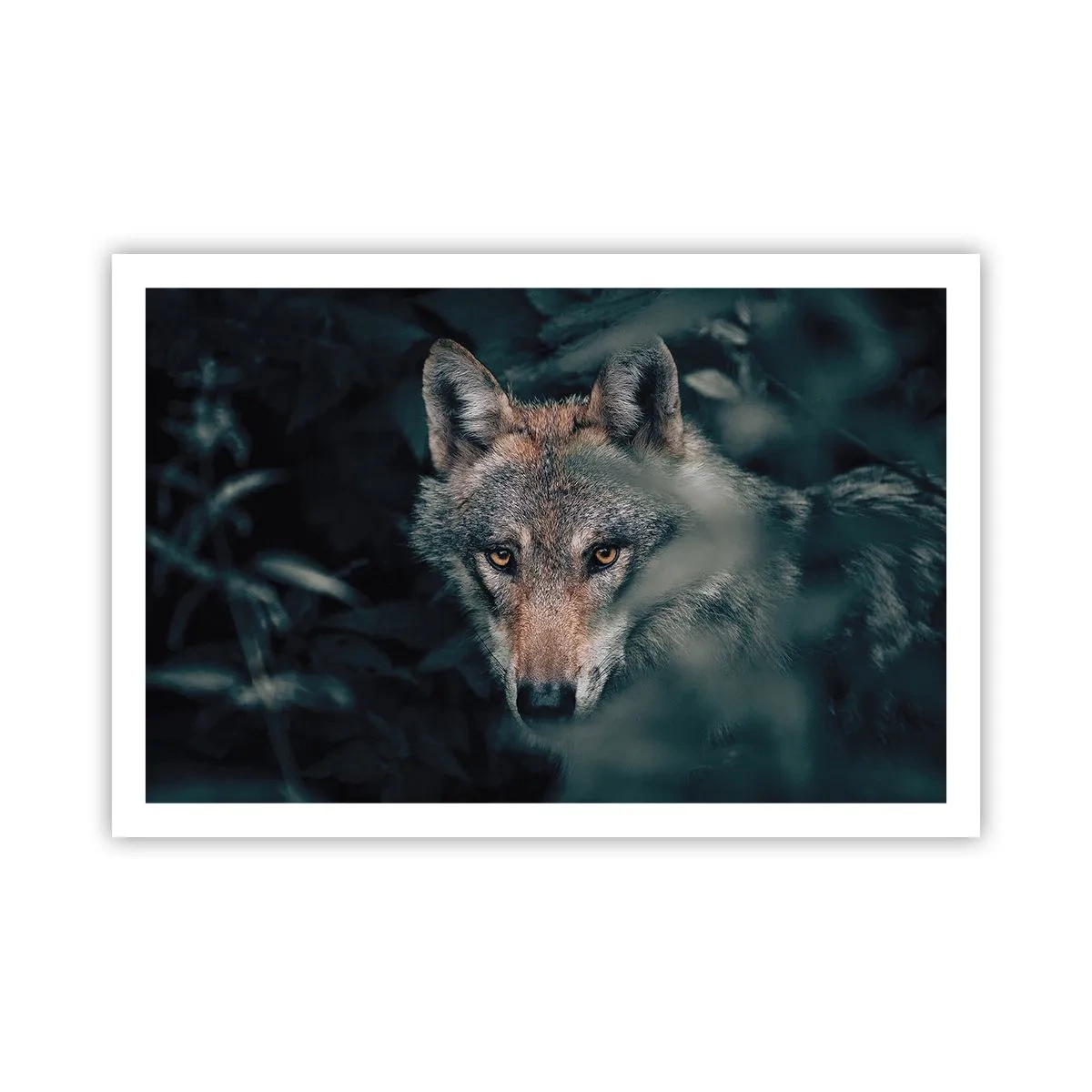 Poster - Jäger - 91x61 cm