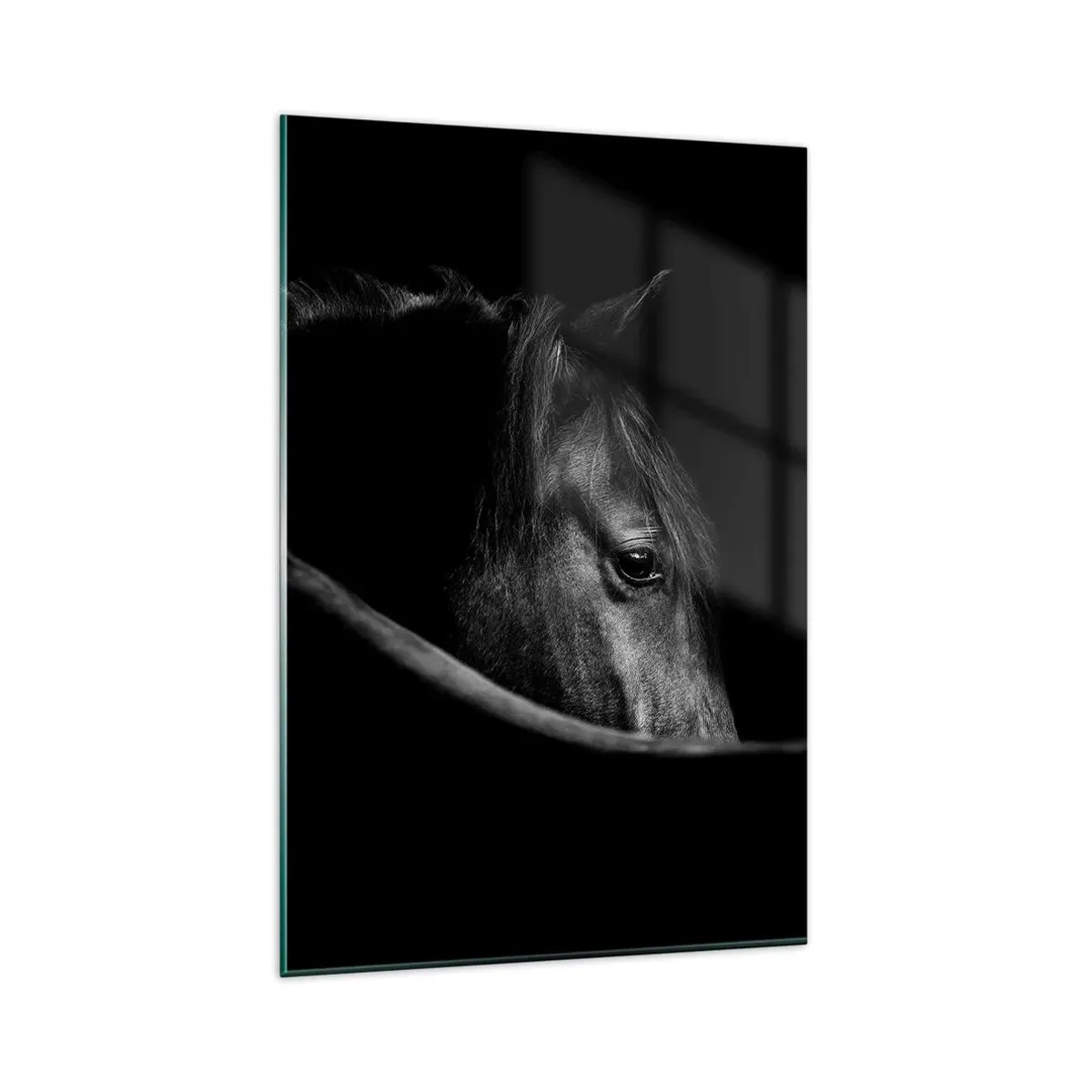 Glasbild - Bild auf glas - Ein Schwarz-Weiß-Porträt eines Pferdes mit einem subtilen Spiel aus Licht und Schatten vor dunklem Hintergrund. - 80x120cm - Schwarzer Prinz - Moderne Wanddekoration für Wohnzimmer und Schlafzimmer ARTTOR