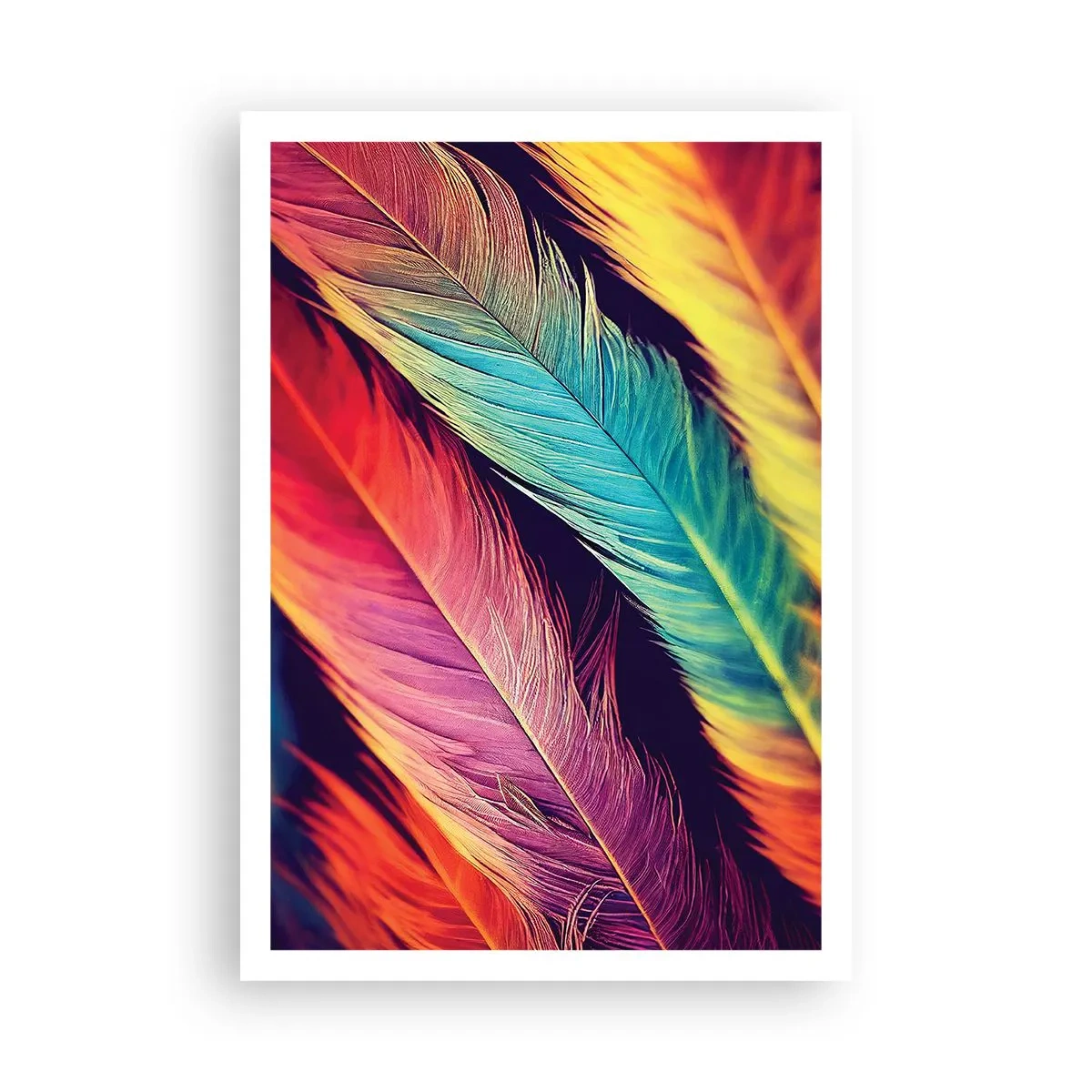 Poster - Gefiederter Regenbogen - 70x100 cm