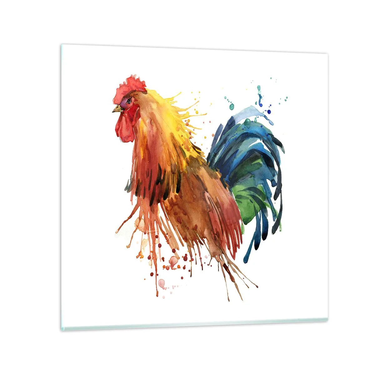 Glasbild - Bild auf glas - Königliches Gewand, königlicher Stolz - 30x30 cm