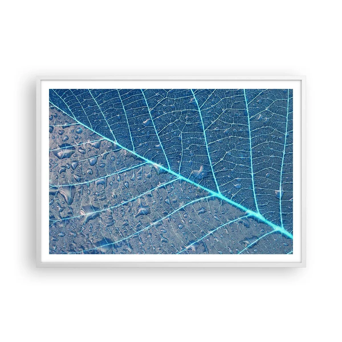 Poster in einem weißen Rahmen - Leben in Blau - 100x70 cm