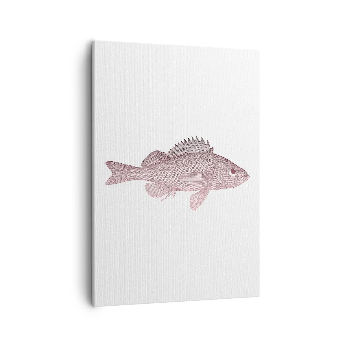 Bild auf Leinwand - Leinwandbild - Detaillierte Darstellung eines Fisches auf weißem Hintergrund - 50x70cm - Großäugiger Fisch - Moderne Wanddekoration für Wohnzimmer und Schlafzimmer ARTTOR