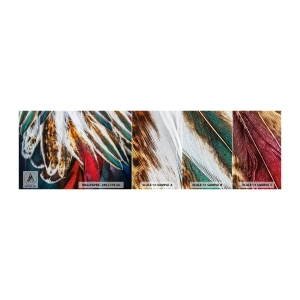 Fototapetenmuster Standard Eco - Geheimnisse des Fliegens - Abstraktion, Stück, Boho - 100x30 cm