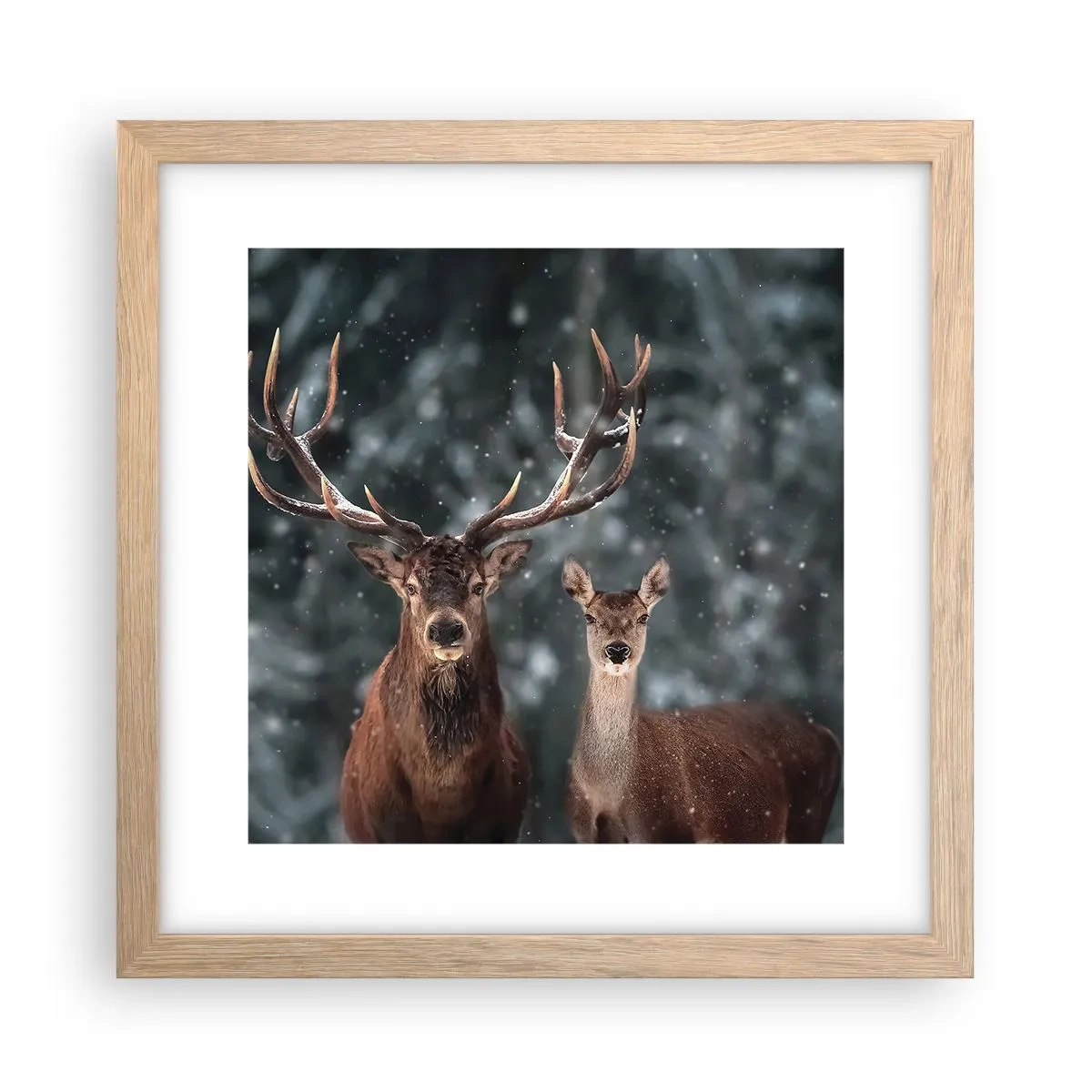 Poster in einem Rahmen aus heller Eiche - Herr des Waldes mit seiner Frau - 30x30 cm