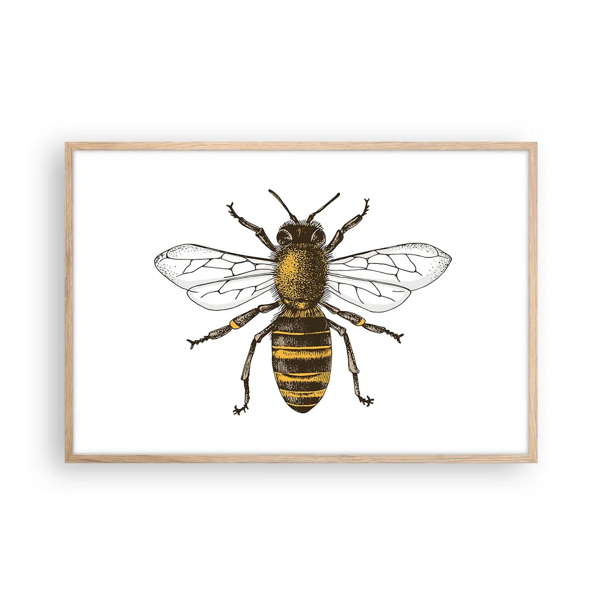 Poster in einem Rahmen aus heller Eiche - Schön und gut - 91x61 cm