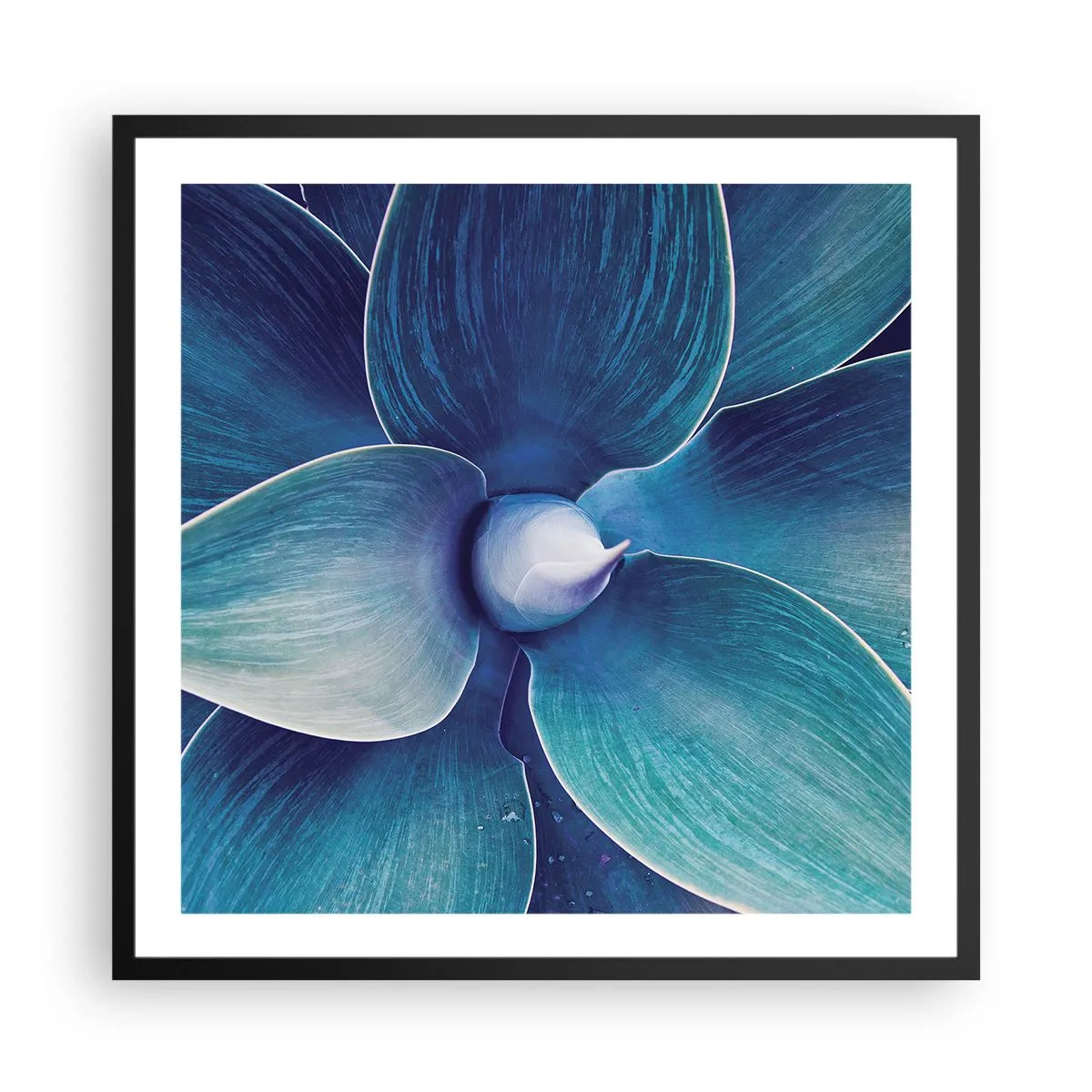 Poster in einem schwarzem Rahmen - Bläulich vom Himmel - 60x60 cm