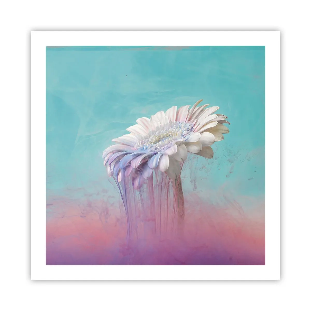 Poster - Blumenunterwelt - 60x60 cm
