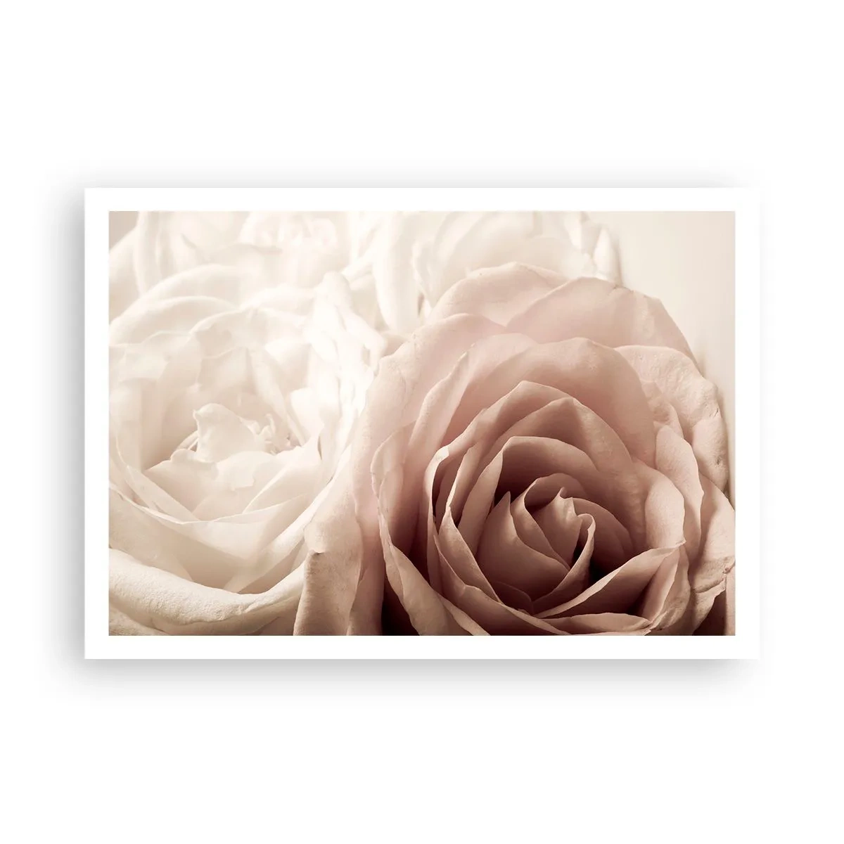 Poster - Zarte Rosen in pastelligen Beigetönen - 100x70cm - Im Herzen der Rose - Moderne Wanddekoration für Wohnzimmer und Schlafzimmer ARTTOR