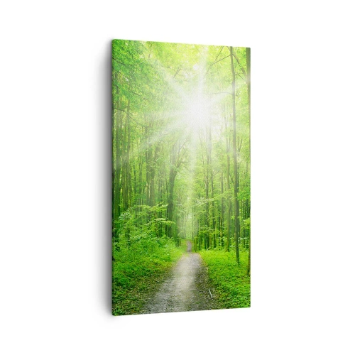 Bild auf Leinwand - Leinwandbild - Die grüne Kathedrale - 45x80 cm