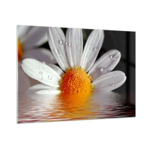 Glasbild - Bild auf glas - Ein Gänseblümchen mit Wassertropfen, die sich im Wasser spiegeln - 100x70cm - Die aufgehende Sonne der Gänseblümchen - Moderne Wanddekoration für Wohnzimmer und Schlafzimmer ARTTOR
