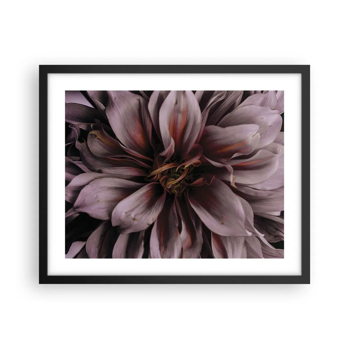 Poster in einem schwarzem Rahmen - Ein Blumenherz - 50x40 cm