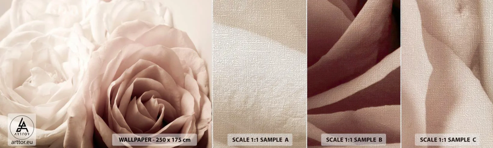 Fototapeten Muster Premium Canvas - Im Herzen der Rose - Rosen, Blumen, Romantisch - 100x30 cm