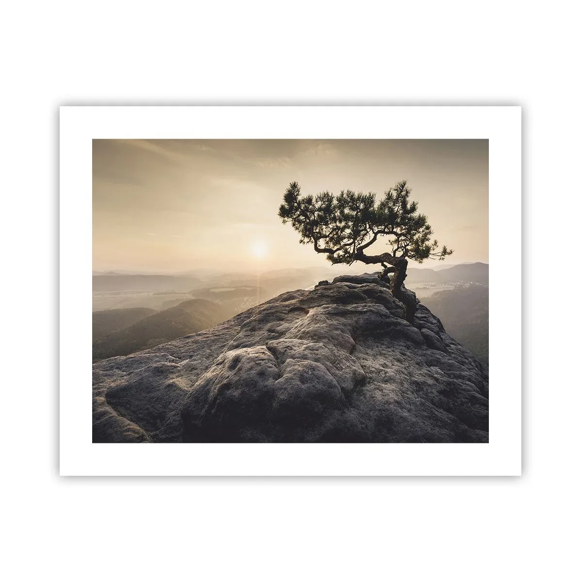 Poster - Das Leben gewinnt immer - 50x40 cm