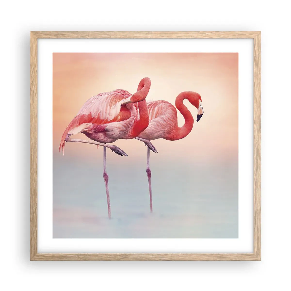 Poster in einem Rahmen aus heller Eiche - Die Farbe der untergehenden Sonne - 50x50 cm