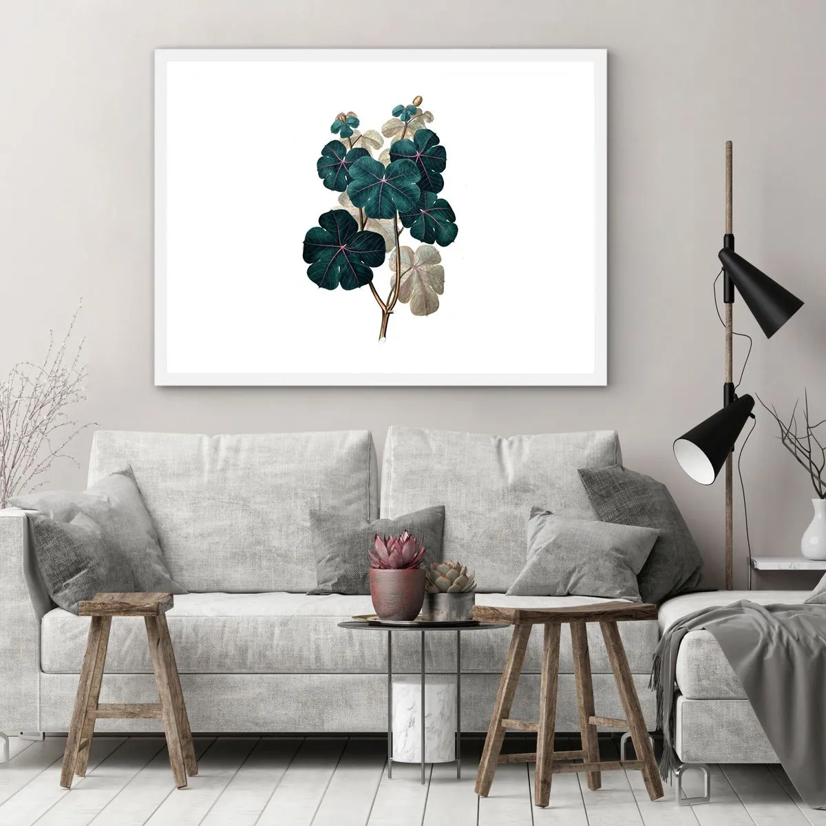 Poster in einem weißen Rahmen - Aus dem alten Herbarium - 50x40 cm