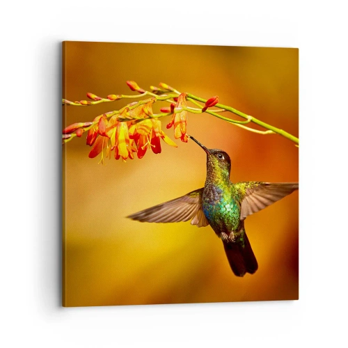 Bild auf Leinwand - Leinwandbild - Ein Lichtbote nach den Maya - 70x70 cm