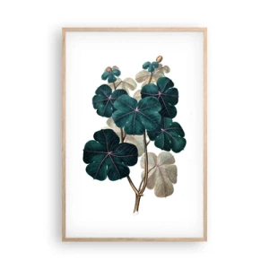 Poster in einem Rahmen aus heller Eiche - Aus dem alten Herbarium - 61x91 cm