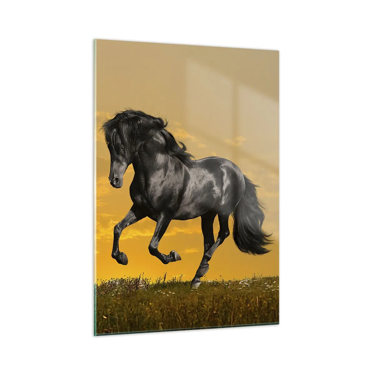 Glasbild - Bild auf glas - Ein schwarzes Pferd galoppiert gegen die untergehende Sonne - 50x70cm - Schön, frei und wild - Moderne Wanddekoration für Wohnzimmer und Schlafzimmer ARTTOR