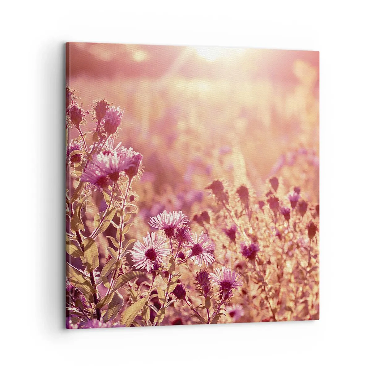 Bild auf Leinwand - Leinwandbild - Bevor der Sommer vorbei ist - 60x60 cm