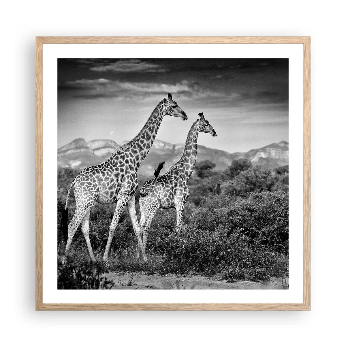 Poster in einem Rahmen aus heller Eiche - Hohe Sphären in Afrika - 60x60 cm