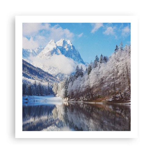 Poster - Schneefang - 60x60 cm