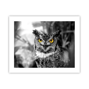 Poster - Nichts wird sich verstecken - 50x40 cm