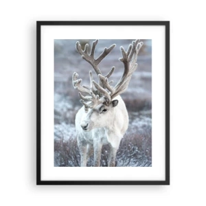 Poster in einem schwarzem Rahmen - Porträt in der Sonne - 40x50 cm