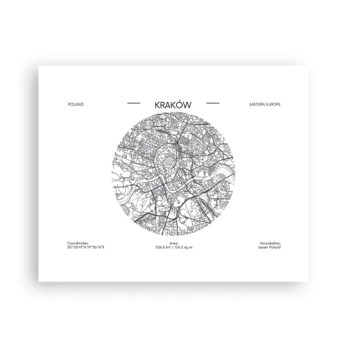 Poster - Anatomie von Krakau - 50x40 cm