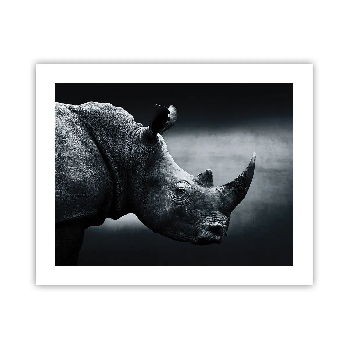 Poster - Richtiges Profil - 50x40 cm