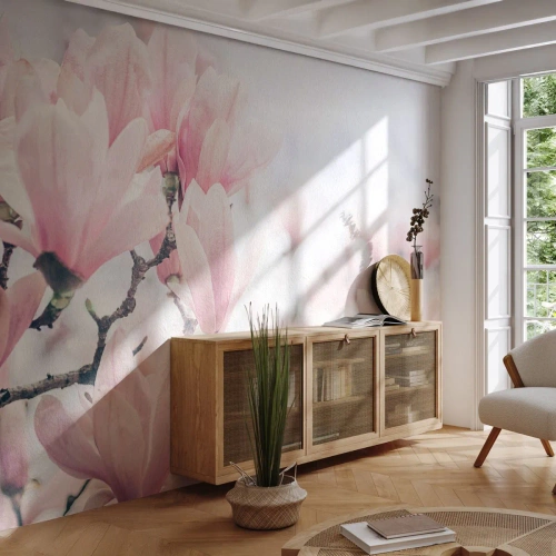 Selbstklebende Fototapete Deluxe Sticker - Das Ideal der Subtilität - Magnolie, Blumen, Magnolienbaum - 350x256 cm