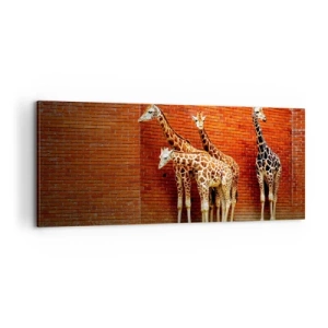 Bild auf Leinwand - Leinwandbild - Sehen Sie Akazien? - 100x40 cm