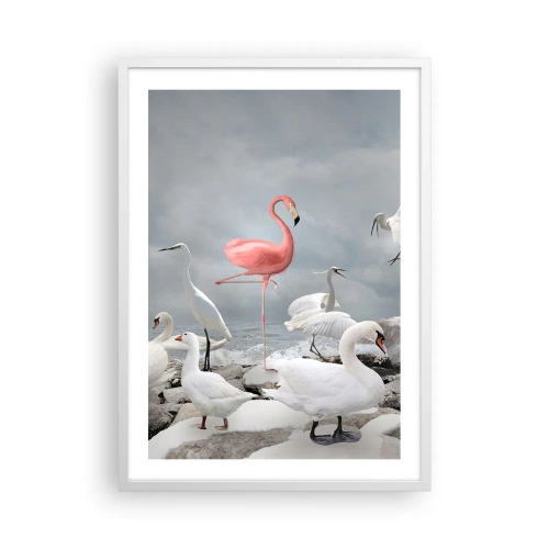 Poster in einem weißen Rahmen - Wie kam ich hier hin? - 50x70 cm