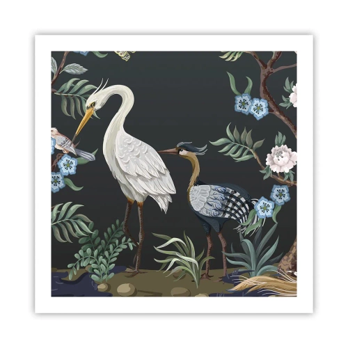 Poster - Vogelparade - 60x60 cm