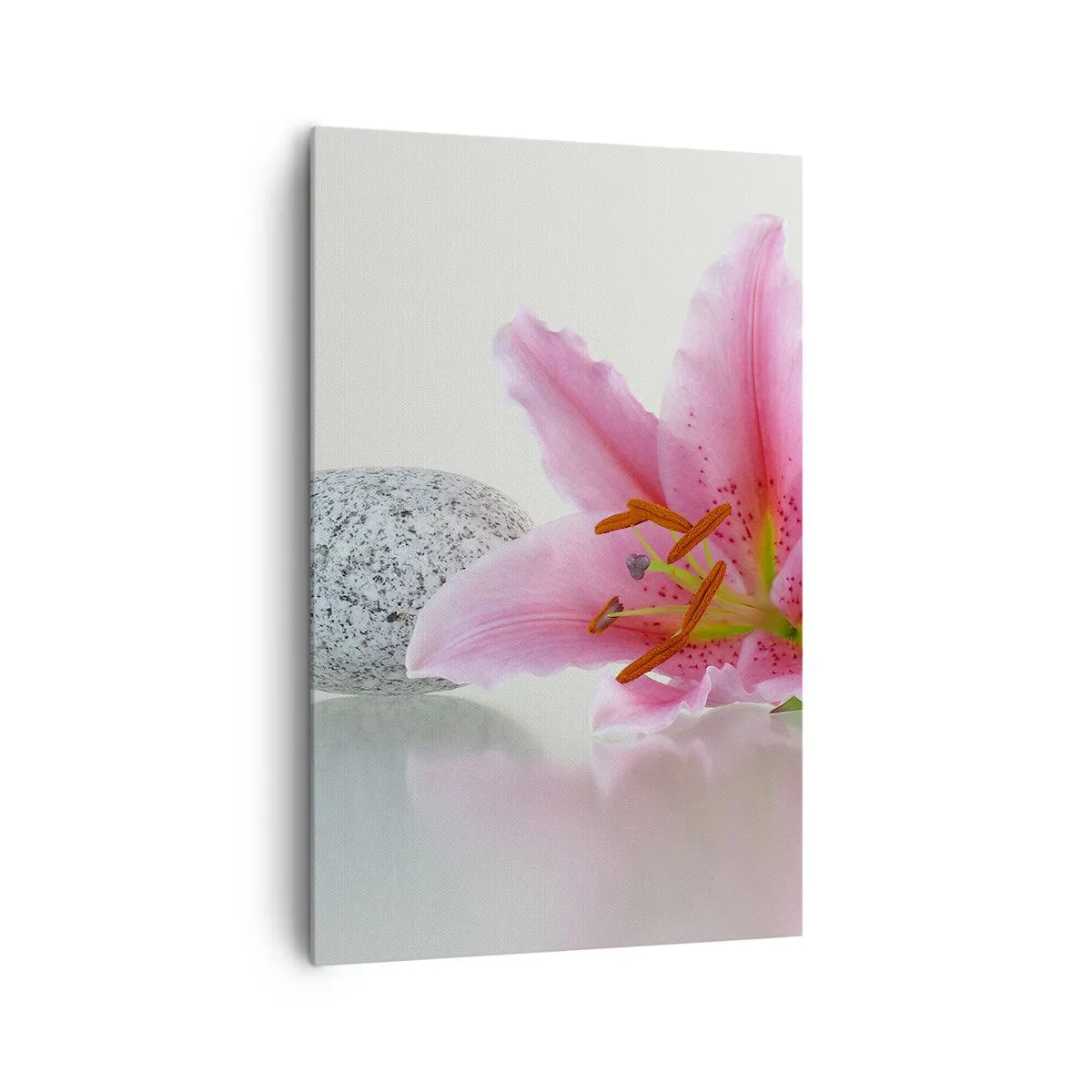 Bild auf Leinwand - Leinwandbild - Rosa Lilienblüte mit Steinen auf hellem Hintergrund - 80x120cm - Eine Studie in Pink, Grau und Weiß - Moderne Wanddekoration für Wohnzimmer und Schlafzimmer ARTTOR