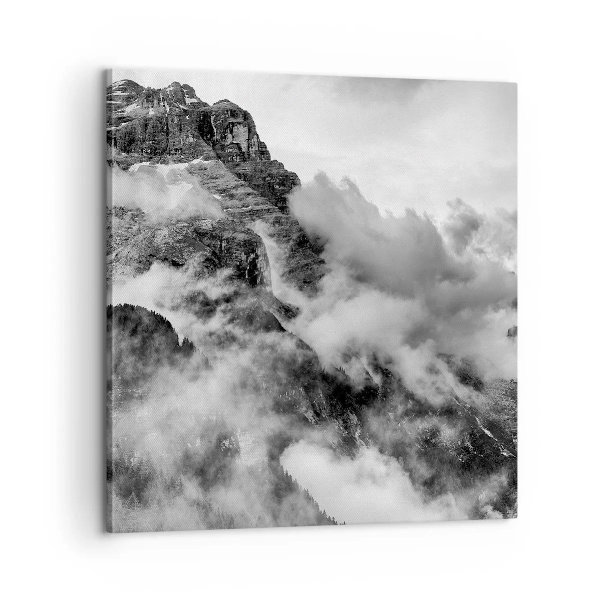 Bild auf Leinwand - Leinwandbild - Schön und grausam - 60x60 cm