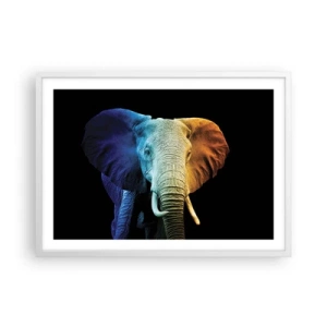 Poster in einem weißen Rahmen - Exzentrisch, kein Verrückter - 70x50 cm