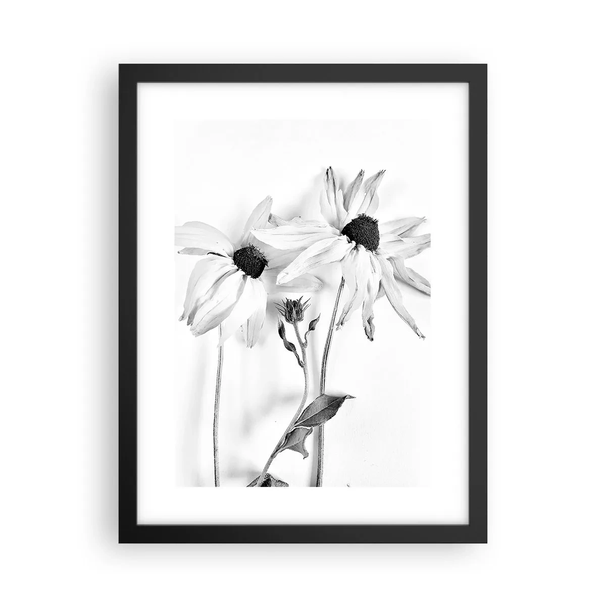 Poster in einem schwarzem Rahmen - Niemand will allein sein - 30x40 cm