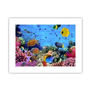 Poster - Und was wissen wir über das Leben ... - 40x30 cm