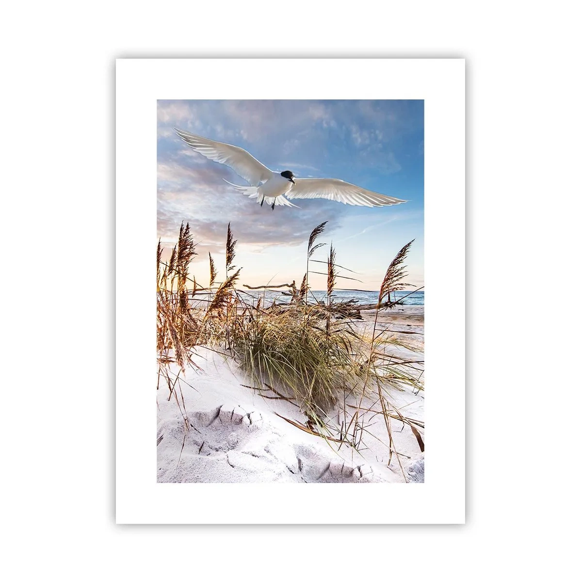 Poster - Wind vom Meer - 30x40 cm