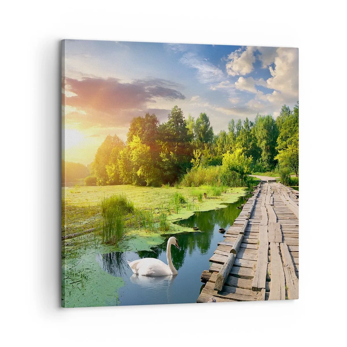 Bild auf Leinwand - Leinwandbild - Sommer, Sommer überall - 60x60 cm