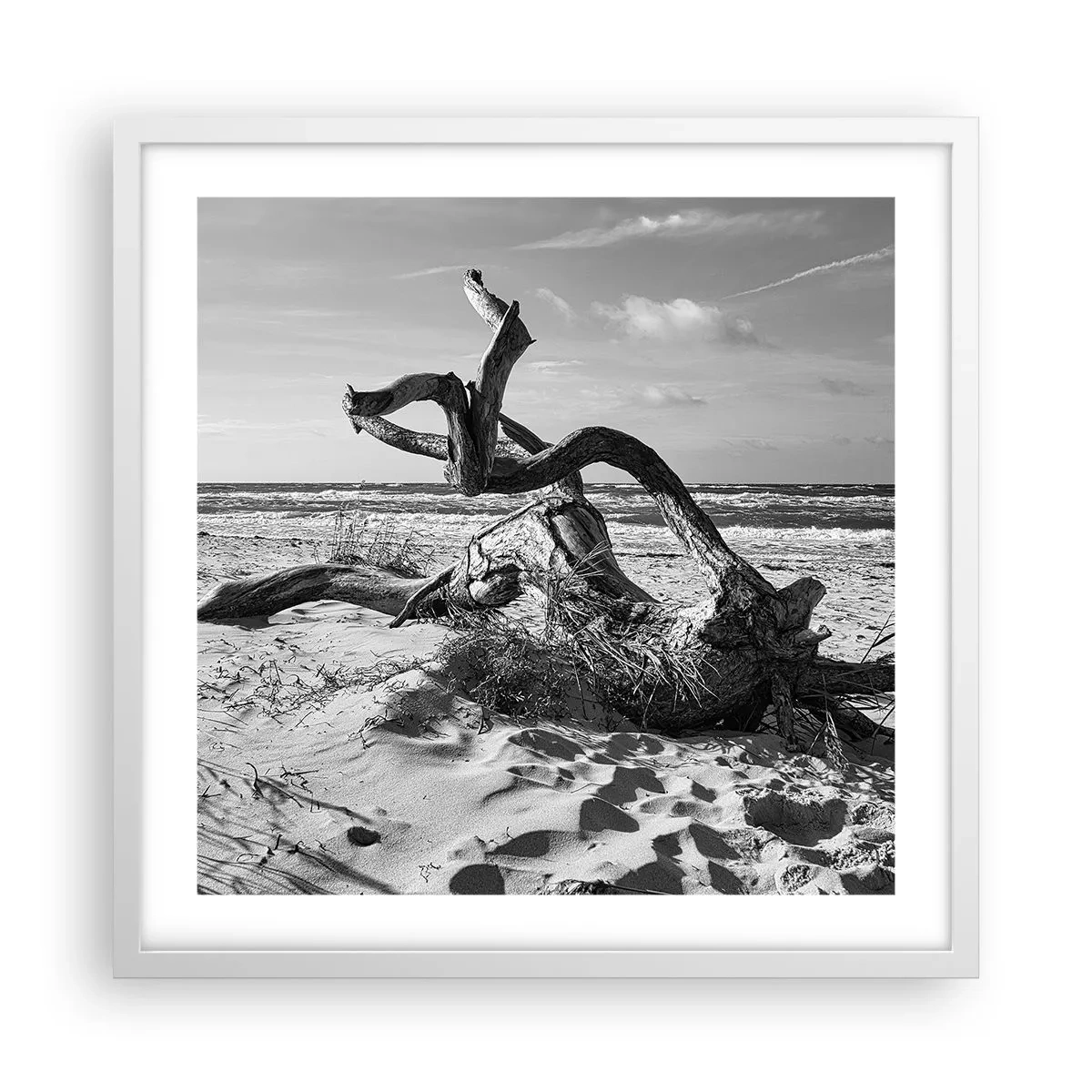 Poster in einem weißen Rahmen - Meeresskulptur - 50x50 cm