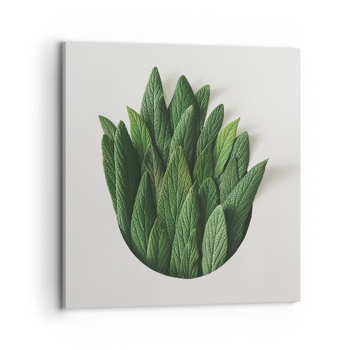 Bild auf Leinwand - Leinwandbild - Ungebremste Neugier - 70x70 cm