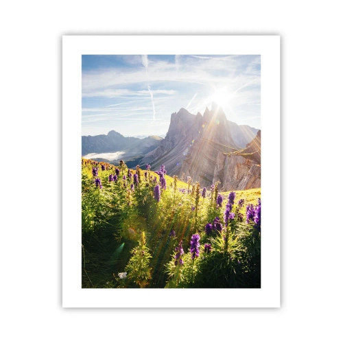 Poster - Das geheime Leben der Kräuter - 40x50 cm