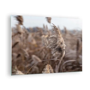 Glasbild - Bild auf glas - Nahaufnahme von trockenem Gras, das im Wind schwankt - 70x50cm - Zeit, mit dem Wind zu gehen - Moderne Wanddekoration für Wohnzimmer und Schlafzimmer ARTTOR