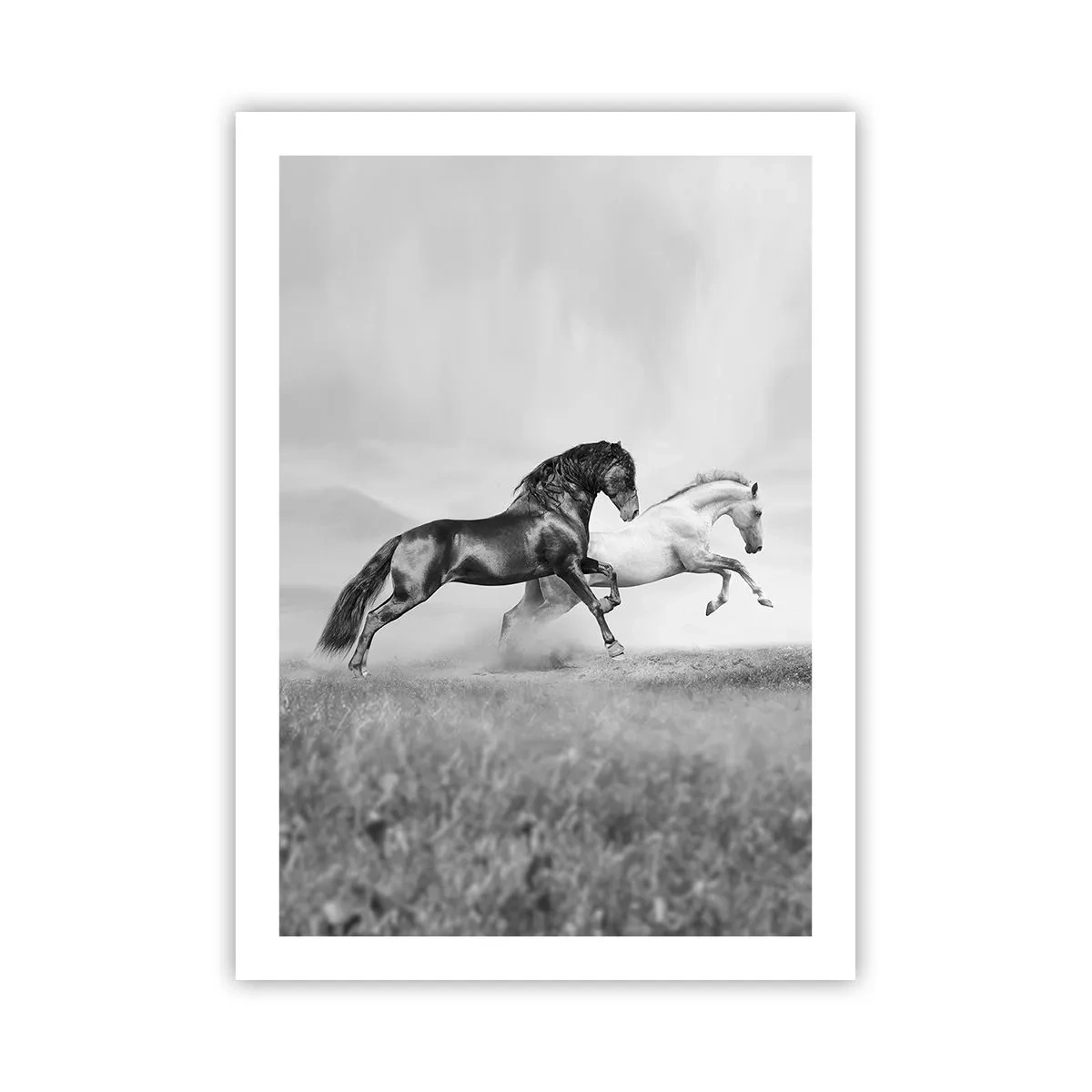 Poster - Schwarz-weiße Pferde galoppieren dynamisch vor einem Feldhintergrund - 50x70cm - Engel und Dämonen - Moderne Wanddekoration für Wohnzimmer und Schlafzimmer ARTTOR